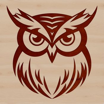A detailed illustration of an owl's head, showcasing its feathers and facial features.