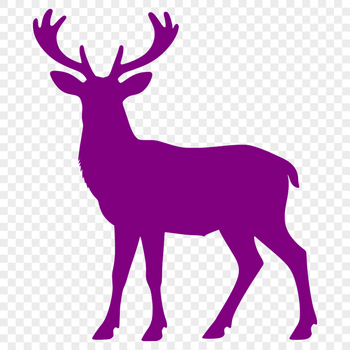 A white-tailed deer with antlers, commonly associated with Christmas and the holiday season.