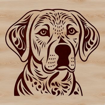 A detailed illustration of a Labrador Retriever's head, suitable for vector graphics and digital design.