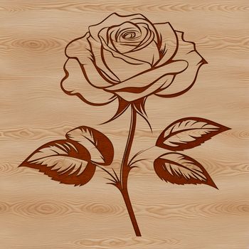 A detailed illustration of a rose flower in various shapes and forms, suitable for use as clip art or stencil design.