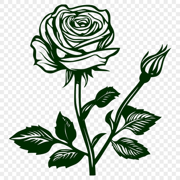 A detailed illustration of a single long-stemmed rose with delicate petals.