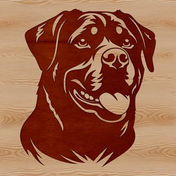 A detailed illustration of a Rottweiler's head, suitable for vector graphic design.