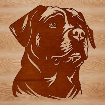 A close-up illustration of a Rottweiler's head, suitable for vector designs and clip art.