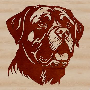 Vector portrait of a Rottweiler breed dog in various poses, suitable for personal or commercial use.