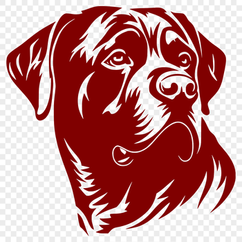 Close-up vector art of a rottweiler's facial features, suitable for design use.