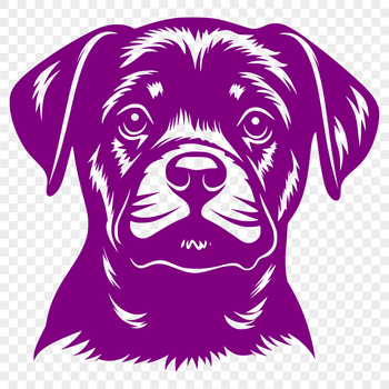A vector graphic illustration of a Rottweiler's head.