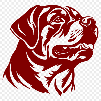 A close-up view of a Rottweiler's head, depicted in vector format.