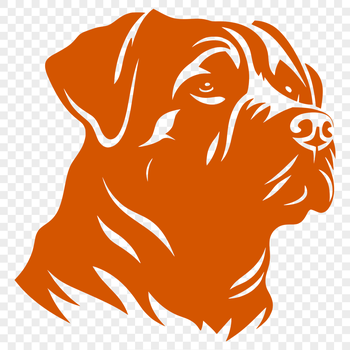 A detailed vector illustration of a Rottweiler dog's head with realistic features.