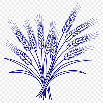 Simple line art illustration of a wheat stalk, ideal for use in craft projects, web design, and printable templates.