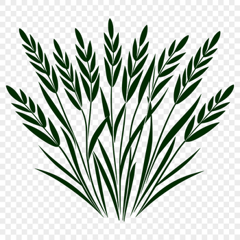 A vector graphic illustration of a single ear of wheat with delicate details and minimal lines.