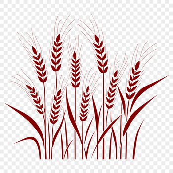 Illustrative wheat graphic suitable for vector art and commercial use.