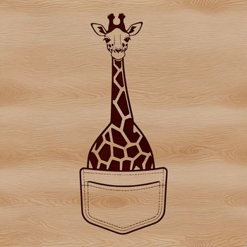 A tall, spotted mammal with a long neck and legs, often found in savannas and national parks.