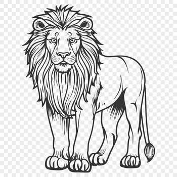 A standing lion, illustrated in vector format.