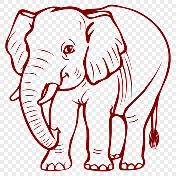 A detailed illustration of a standing elephant from a front-facing perspective.