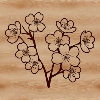 Illustrated cherry blossom flower in a vector design format.