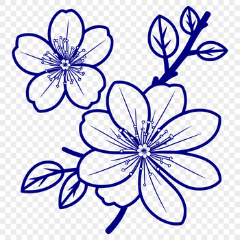 A detailed illustration of a cherry blossom plant with blooming flowers in full color.
