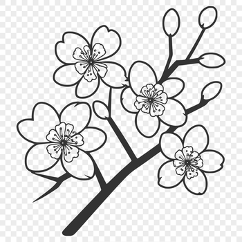 A detailed illustration of a cherry blossom in full bloom, featuring delicate petals and a green stem.