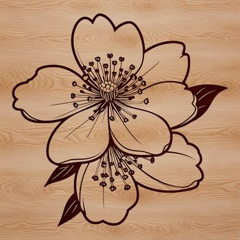 Vector graphic design featuring a single sakura flower with delicate petals.