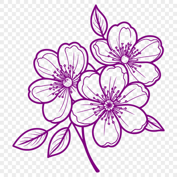 A delicate cherry blossom with pink petals and green stem, suitable for digital design.