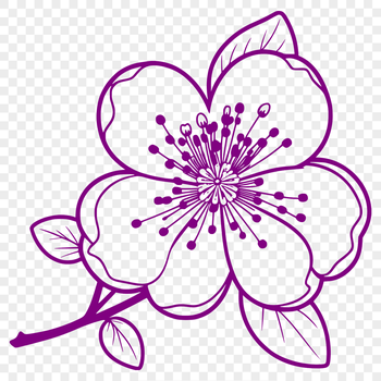 An intricate vector design featuring a stylized cherry blossom plant with delicate petals and branches.
