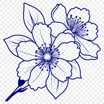 A stylized illustration of a single cherry blossom in bloom with five petals and a prominent green stem.