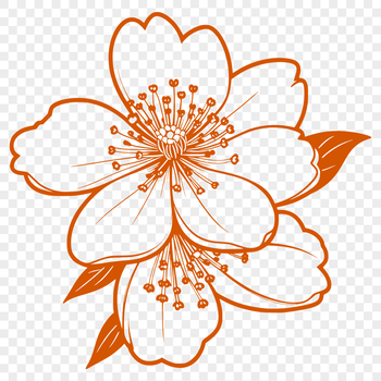 Vector graphic design featuring a single blooming sakura in full color detail.