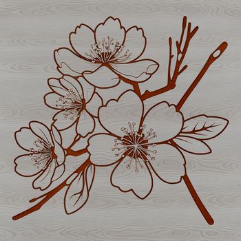 A delicate cherry blossom tree in full bloom, suitable for various applications including vector art and design projects.