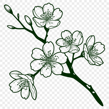 A stylized illustration of a blooming cherry blossom tree with delicate pink petals.