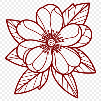 Close-up vector graphic of a single sakura flower with delicate petals and stem.