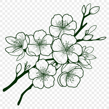 Vector design featuring a realistic cherry blossom plant with intricate details.