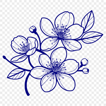 A stylized illustration of a cherry blossom flower with pink petals, ideal for vector art design.