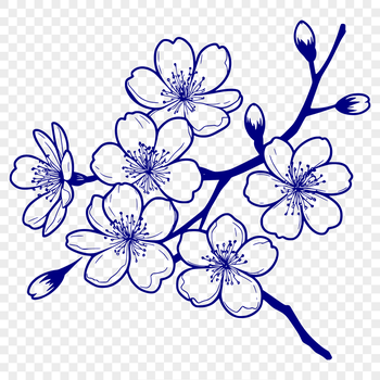 Vector graphic design element featuring a detailed sakura tree branch with blossoms.