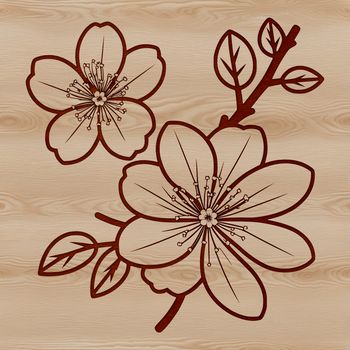 A stylized illustration of a single cherry blossom flower with pink petals.