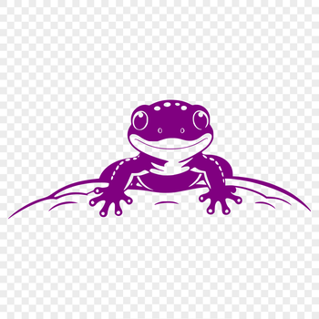 A close-up illustration of a salamander peeking out from behind a leaf.