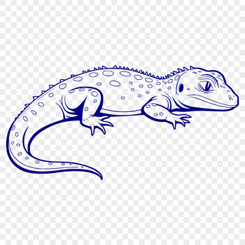 A colorful lizard graphic created using scalable vector graphics technology.