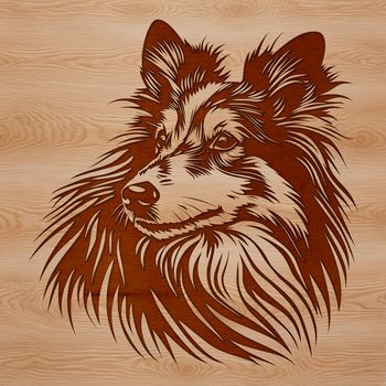 A portrait illustration of a Shetland sheepdog's head with detailed features.