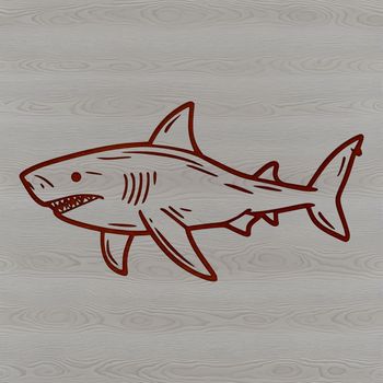 Illustrated shark sea creature vector art design