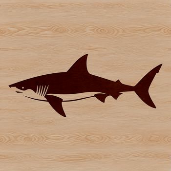 A detailed illustration of a shark, a wild sea creature found in oceans around the world.