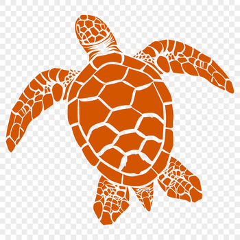 A fully illustrated sea turtle depicted from head to tail, suitable for design projects.