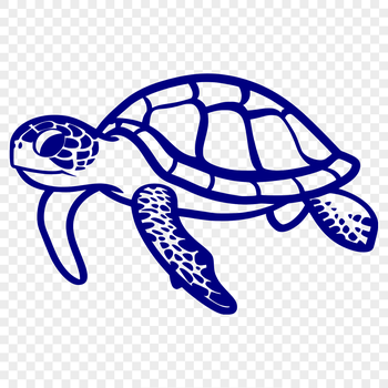 A detailed illustration of a sea turtle's full body, suitable for vector design and commercial or personal projects.