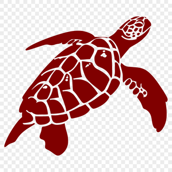 A detailed illustration of a sea turtle in full body view, suitable for vector art and design projects.