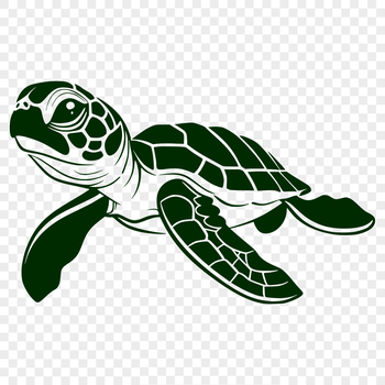 A detailed illustration of a sea turtle's full body, suitable for vector graphics design.