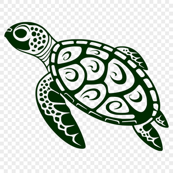 A full-body illustration of a sea turtle, suitable for vector design projects.