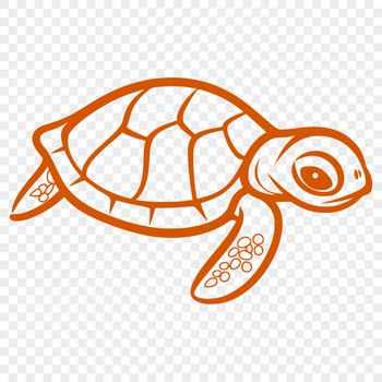 Stunning Sea Turtle PNG