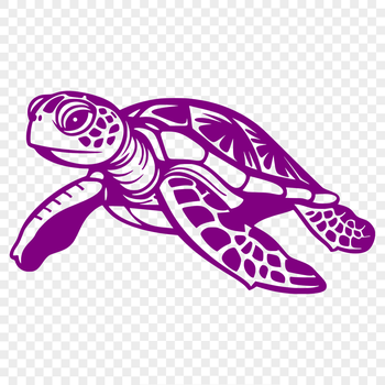 A vector graphic representation of a seaside sea creature, isolated on white background.