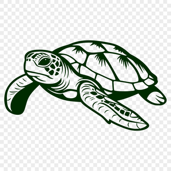 A detailed illustration of a sea turtle in full body pose, suitable for vector design and graphics.