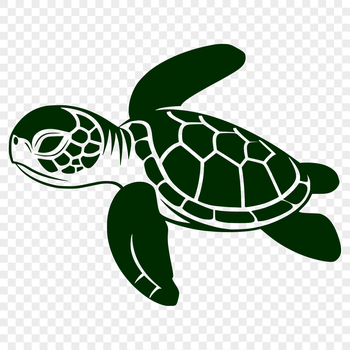 An illustration of a sea turtle's full body, showcasing its distinctive features as a seaside creature.