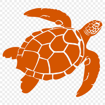 A detailed illustration of a sea turtle's full body from head to tail.
