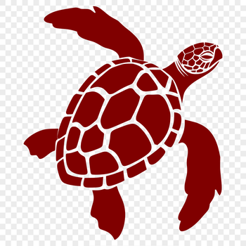 A detailed illustration of a sea turtle's full body, suitable for vector art and design projects.