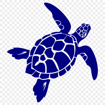 Free Stunning Sea Turtle Vector Illustration